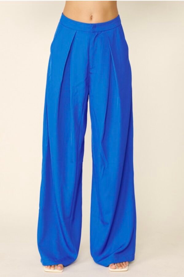 Royal blue pants