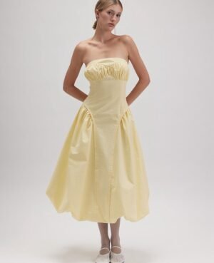 Aritzia Dress