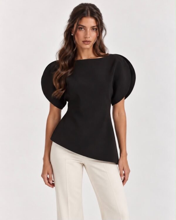 Balloon Sleeve Top